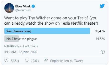 Tesla Model S the Witcher